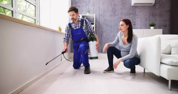 Best Indoor Pest Control  in Round Lake Park, IL